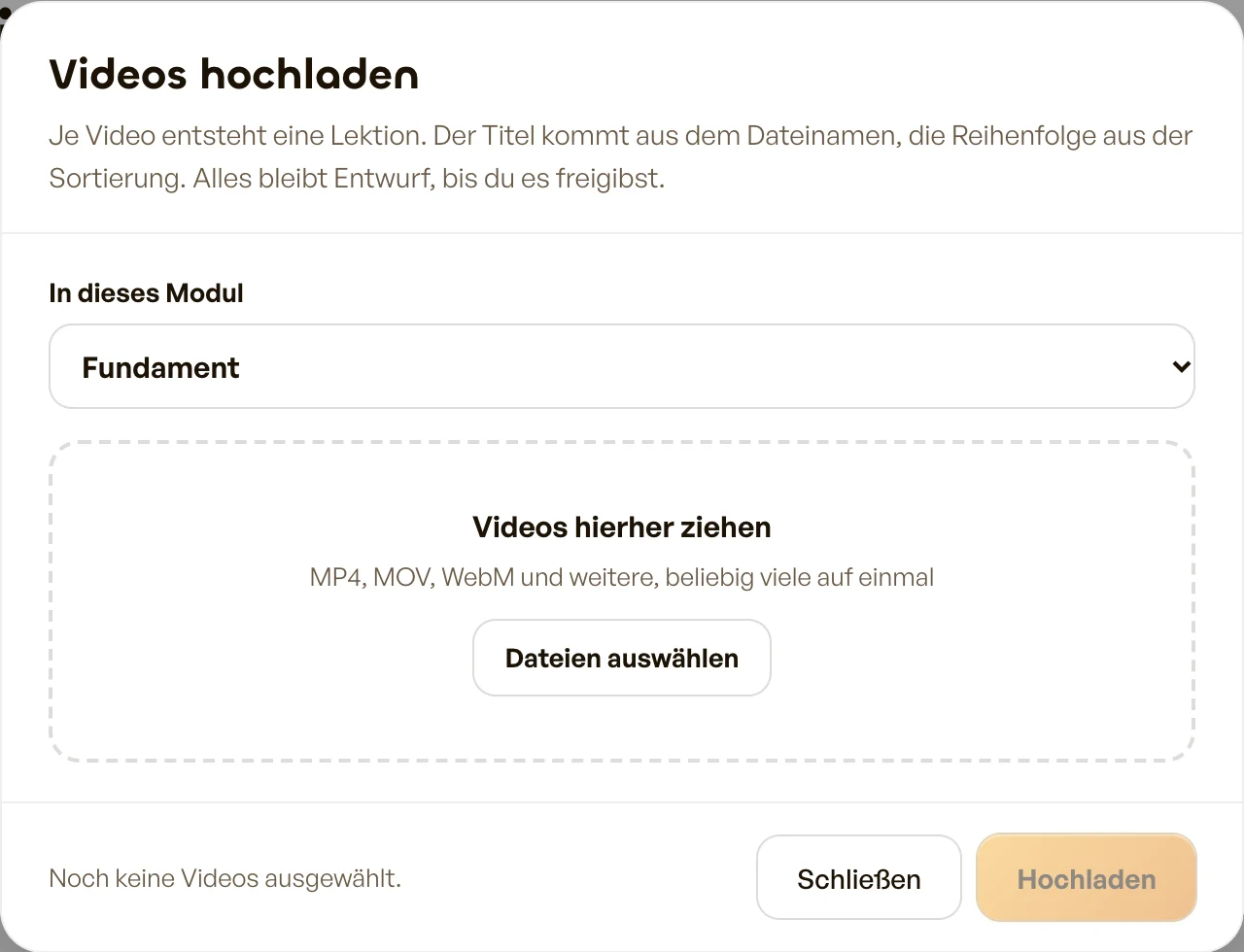 Das Fenster „Videos hochladen"